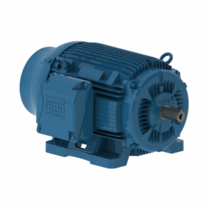 MOTOR ELÉCTRICO TRIFASICO 60 HP SIN BRIDA