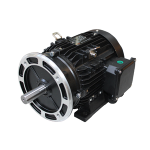 MOTORES ELÉCTRICOS - EAGLE