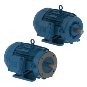 MOTOR ELÉCTRICO TRIFÁSICO 2 POLOS