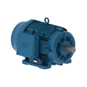 MOTOR ELÉCTRICO TRIFÁSICOS 3 HP 2 POLOS
