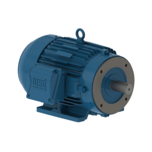 MOTOR ELÉCTRICO TRIFÁSICOS 3 HP 2 POLOS BRIDA C